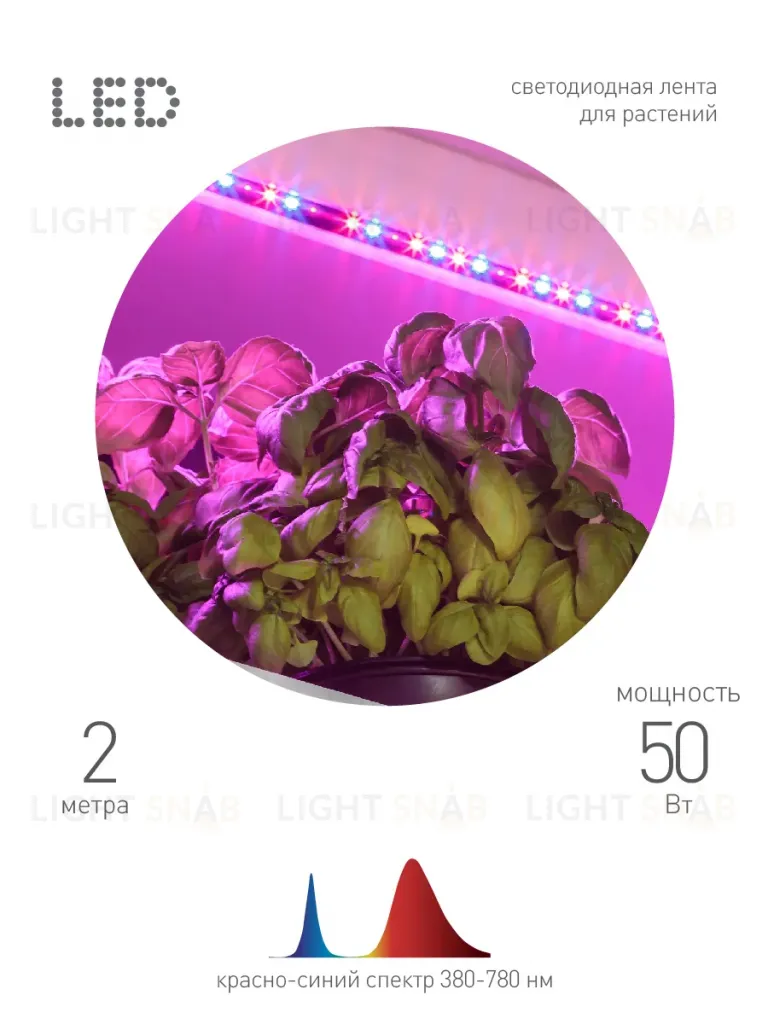 Светодиодная лента для растений Эра 18Вт 1400K 2м IP65 FITO-Strip Light-RB-2m красно-синего спектра Б0057282 Б0057282