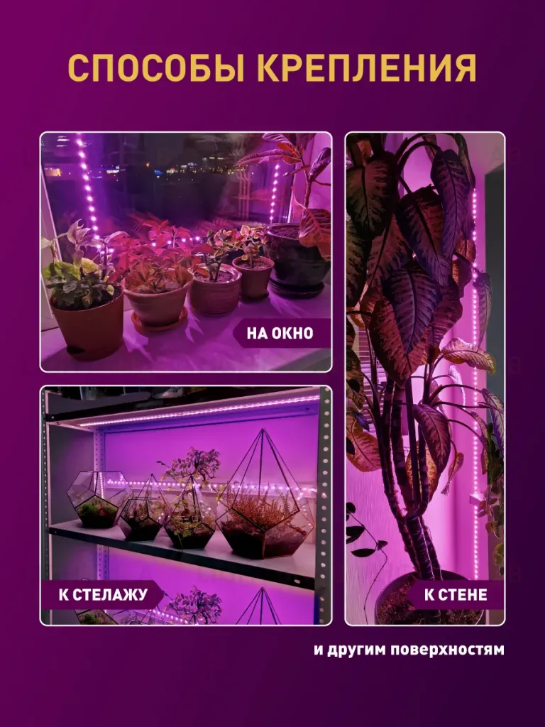 Светодиодная лента для растений Эра 18Вт 1400K 2м IP65 FITO-Strip Light-RB-2m красно-синего спектра Б0057282 Б0057282