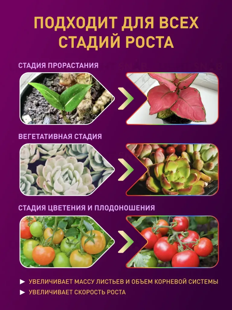 Светодиодная лента для растений Эра 18Вт 1400K 2м IP65 FITO-Strip Light-RB-2m красно-синего спектра Б0057282 Б0057282