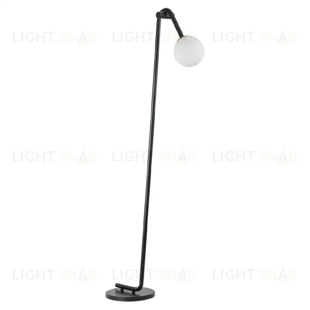 Торшер Lumion Dexter 6500/1F 6500/1F