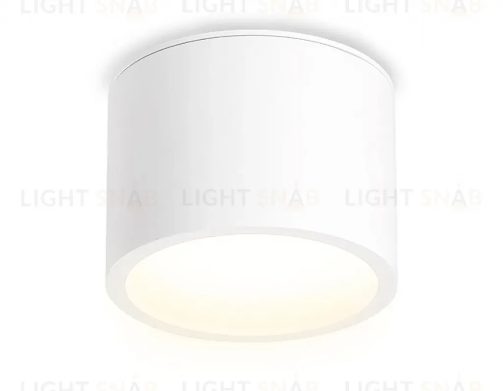 Накладной светильник Ambrella Light IP Protect TN6550 TN6550