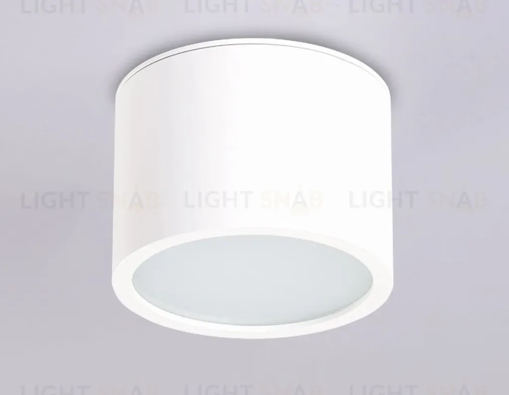 Накладной светильник Ambrella Light IP Protect TN6550 TN6550