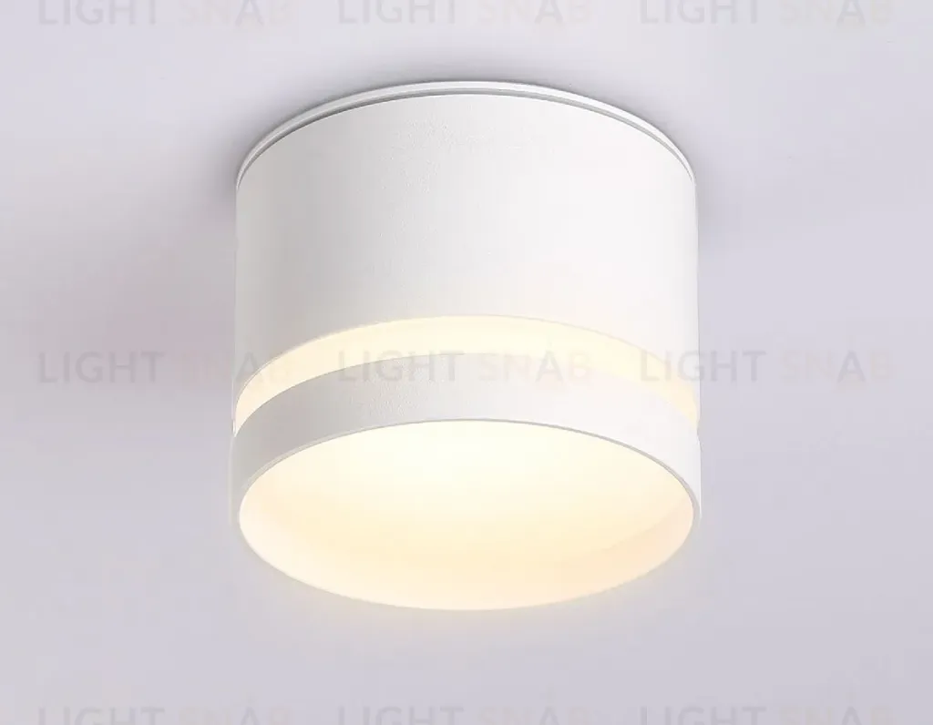 Накладной светильник Ambrella Light IP Protect TN6571 TN6571