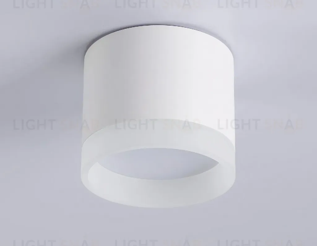 Накладной светильник Ambrella Light Acrylic Frost TN5365 TN5365