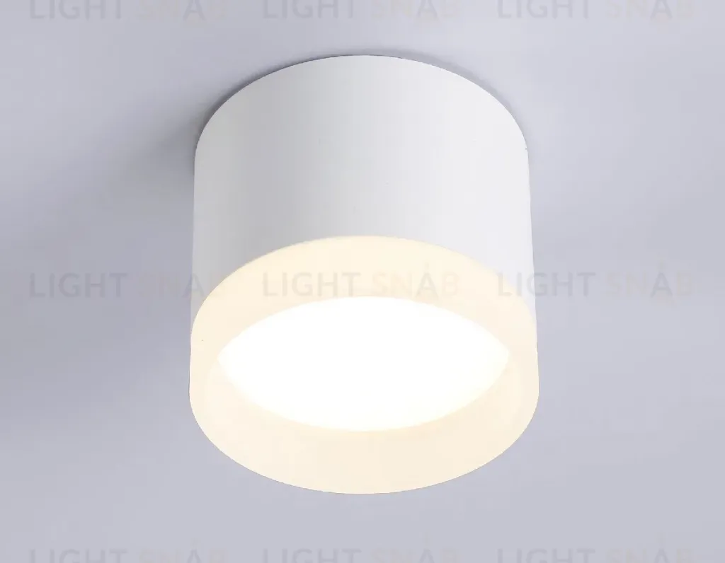 Накладной светильник Ambrella Light Acrylic Frost TN5365 TN5365
