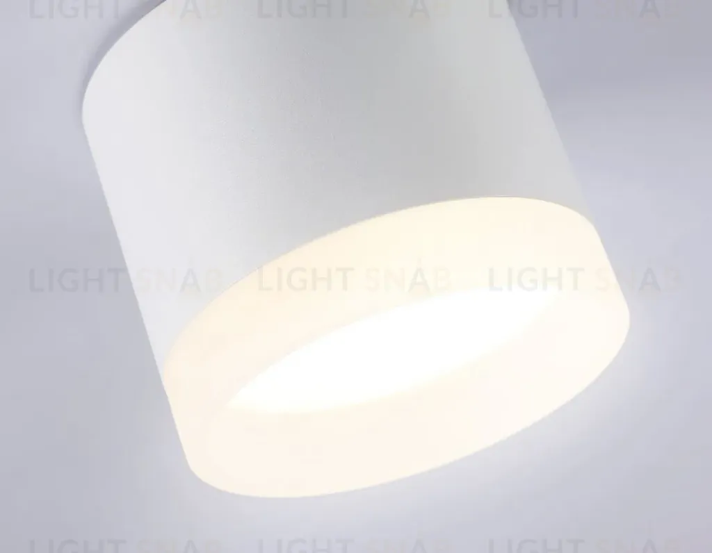 Накладной светильник Ambrella Light Acrylic Frost TN5365 TN5365