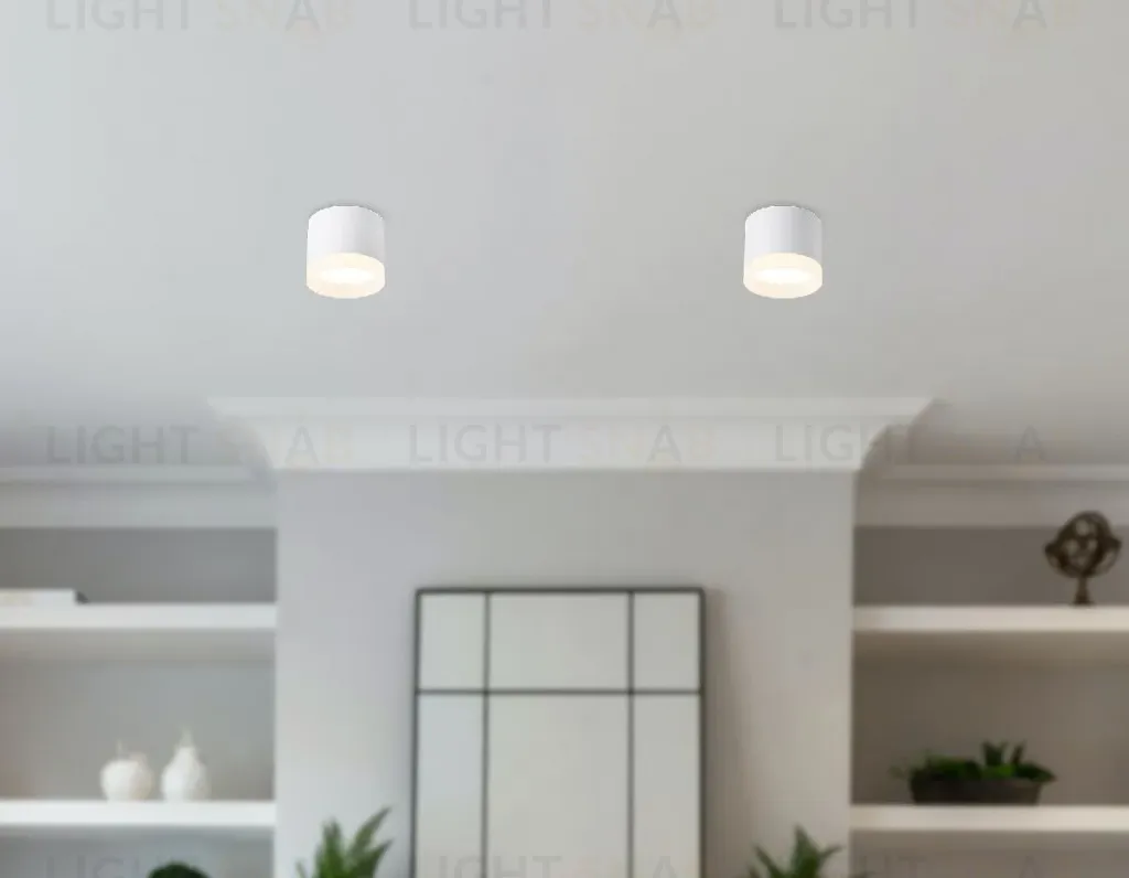 Накладной светильник Ambrella Light Acrylic Frost TN5365 TN5365