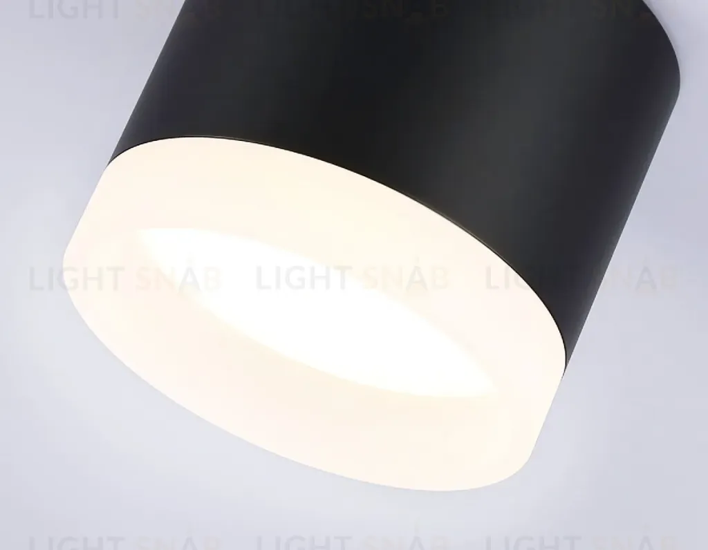 Накладной светильник Ambrella Light Acrylic Frost TN5366 TN5366