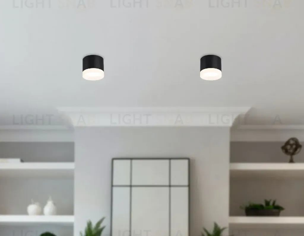 Накладной светильник Ambrella Light Acrylic Frost TN5366 TN5366