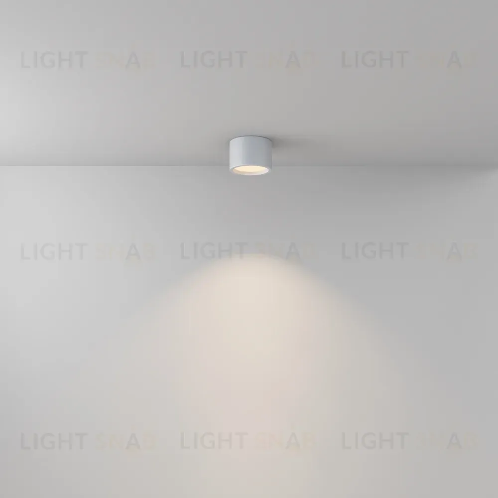 Потолочный светильник Maytoni Technical Ceiling&Wall Hydra C090CL-10W3K-W C090CL-10W3K-W