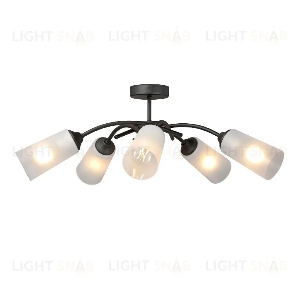 Потолочная люстра Vitaluce V2850-1/5PL V2850-1/5PL