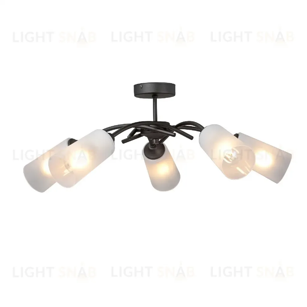 Потолочная люстра Vitaluce V2850-1/5PL V2850-1/5PL