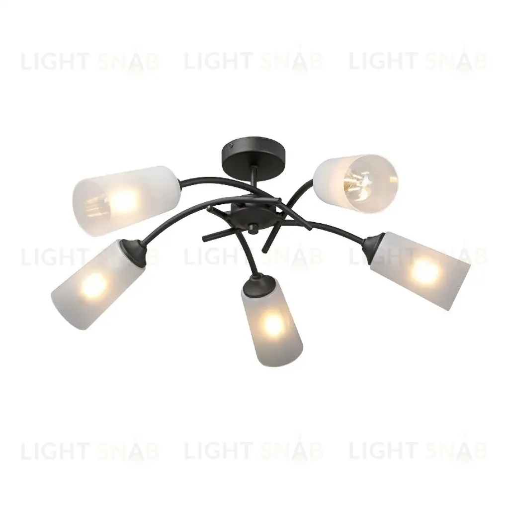 Потолочная люстра Vitaluce V2850-1/5PL V2850-1/5PL
