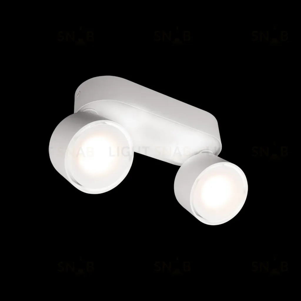 Накладной спот Loft IT Focus 10323/2A White 10323/2A White