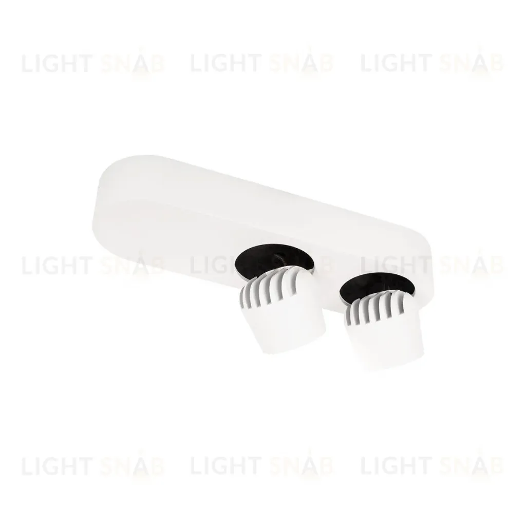 Накладной спот Loft IT Quiet 10320/2 White 10320/2 White