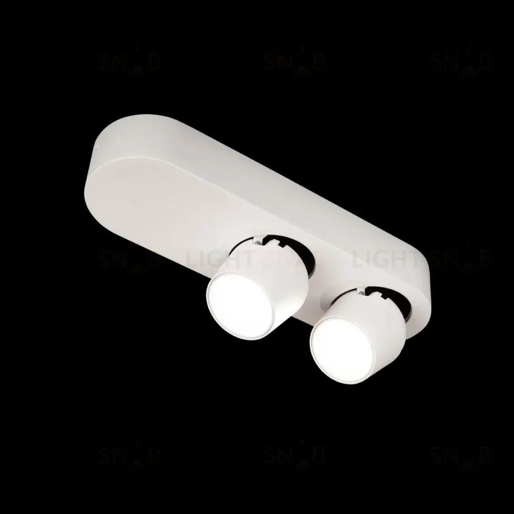 Накладной спот Loft IT Quiet 10320/2 White 10320/2 White