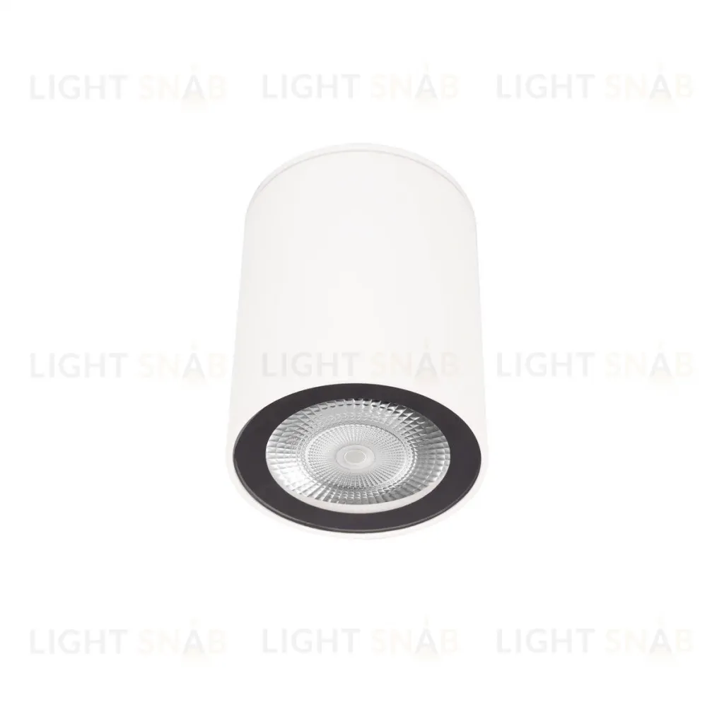Накладной светильник Loft IT Rush 10344 White 10344 White