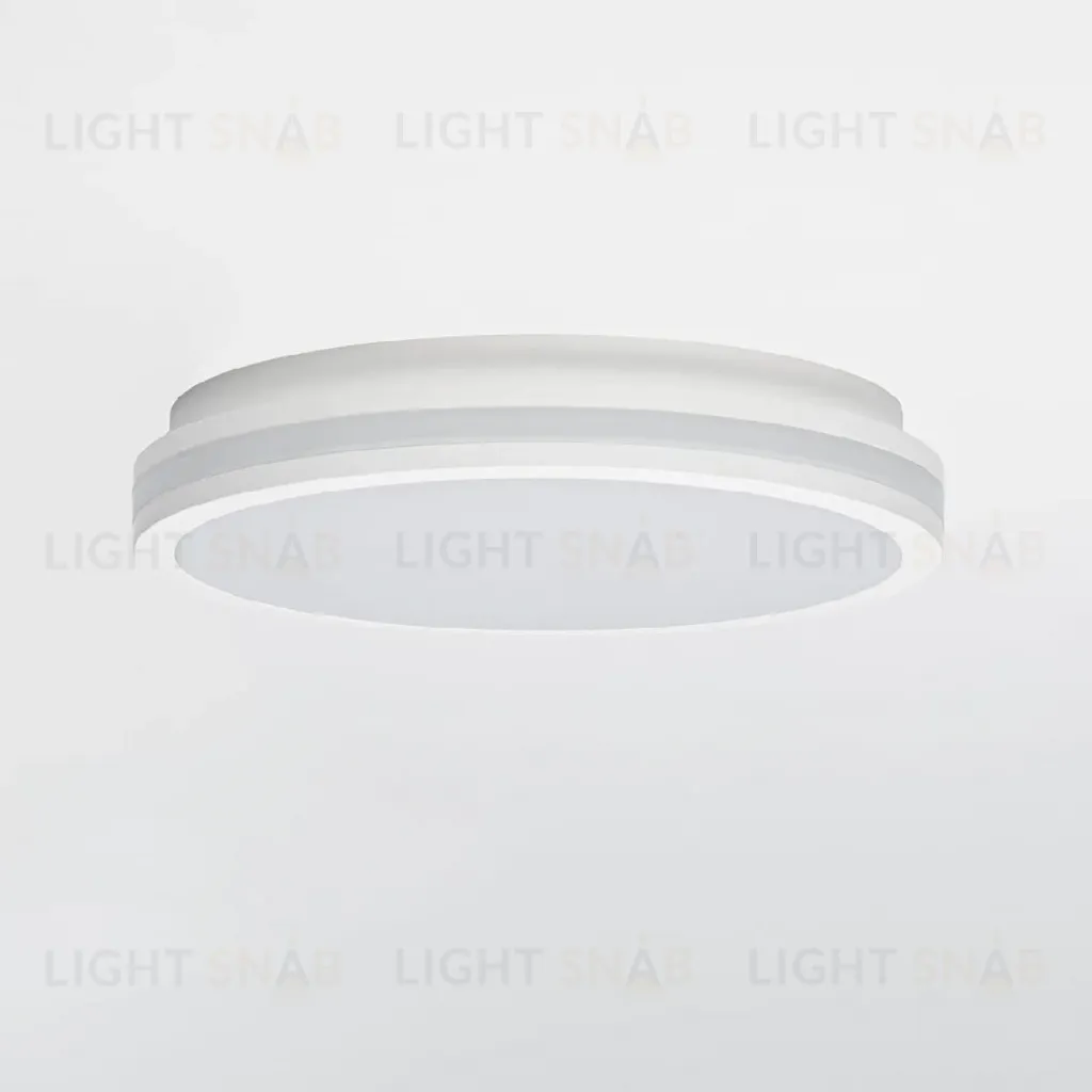 Потолочный светильник Citilux Luns CL711020V CL711020V