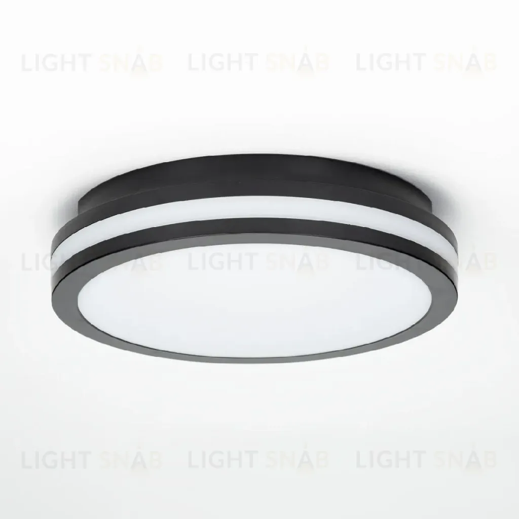 Потолочный светильник Citilux Luns CL711011V CL711011V