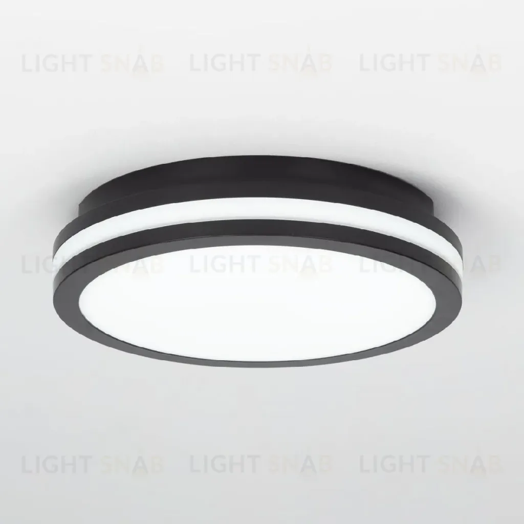 Потолочный светильник Citilux Luns CL711011V CL711011V