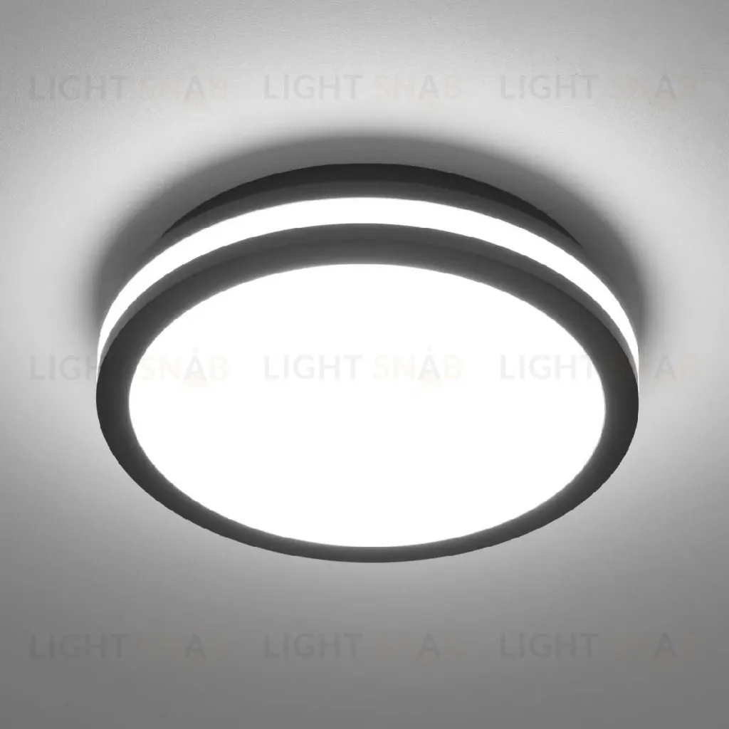 Потолочный светильник Citilux Luns CL711011V CL711011V