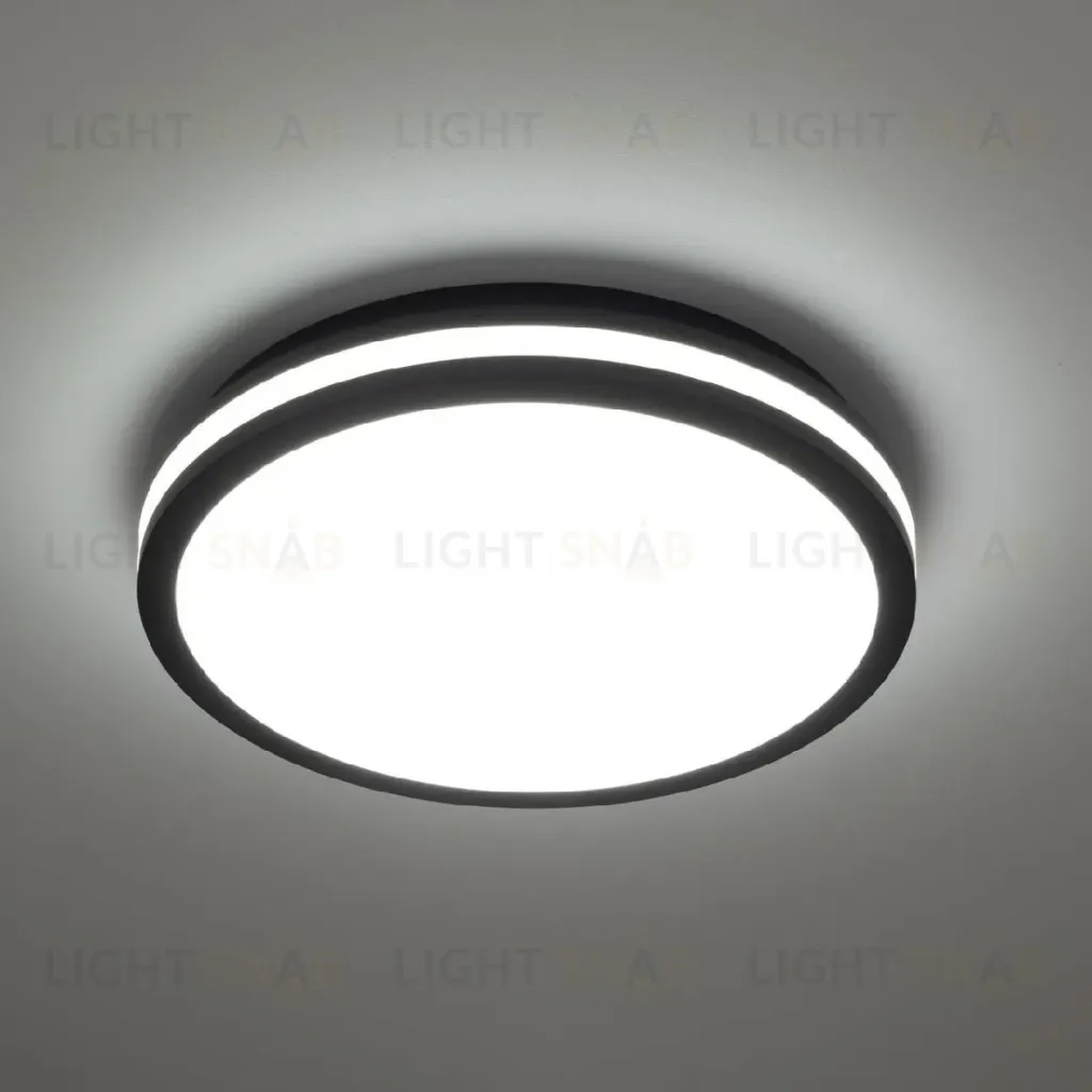 Потолочный светильник Citilux Luns CL711021V CL711021V