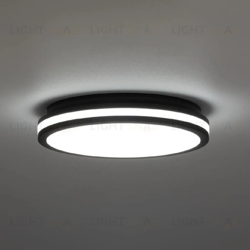 Потолочный светильник Citilux Luns CL711021V CL711021V
