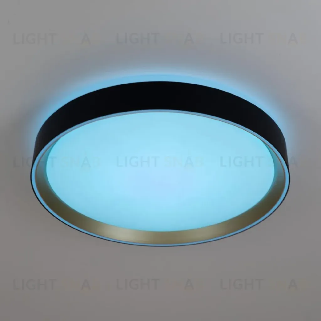 Потолочный светильник Citilux Boss CL751351G CL751351G