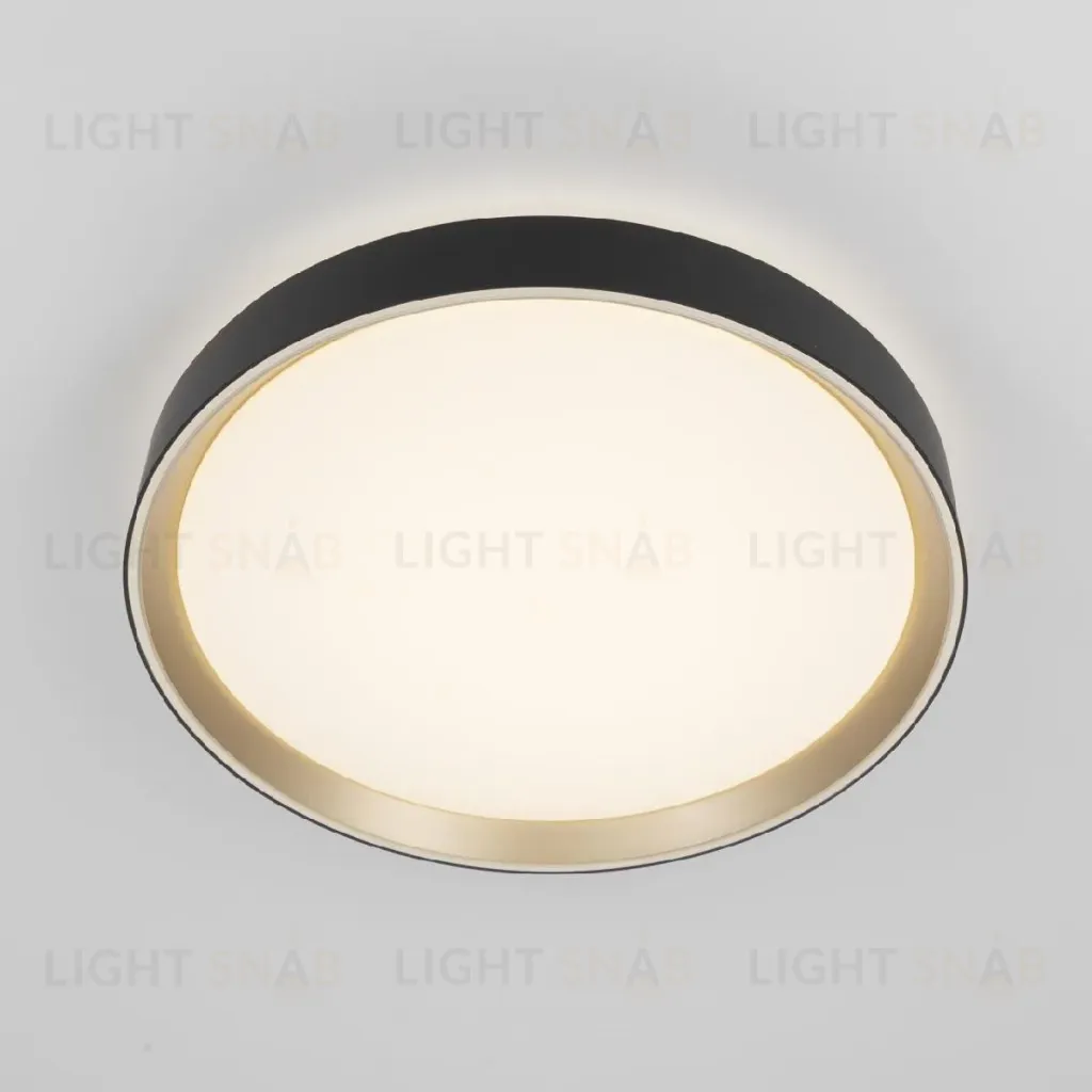 Потолочный светильник Citilux Boss CL751351G CL751351G