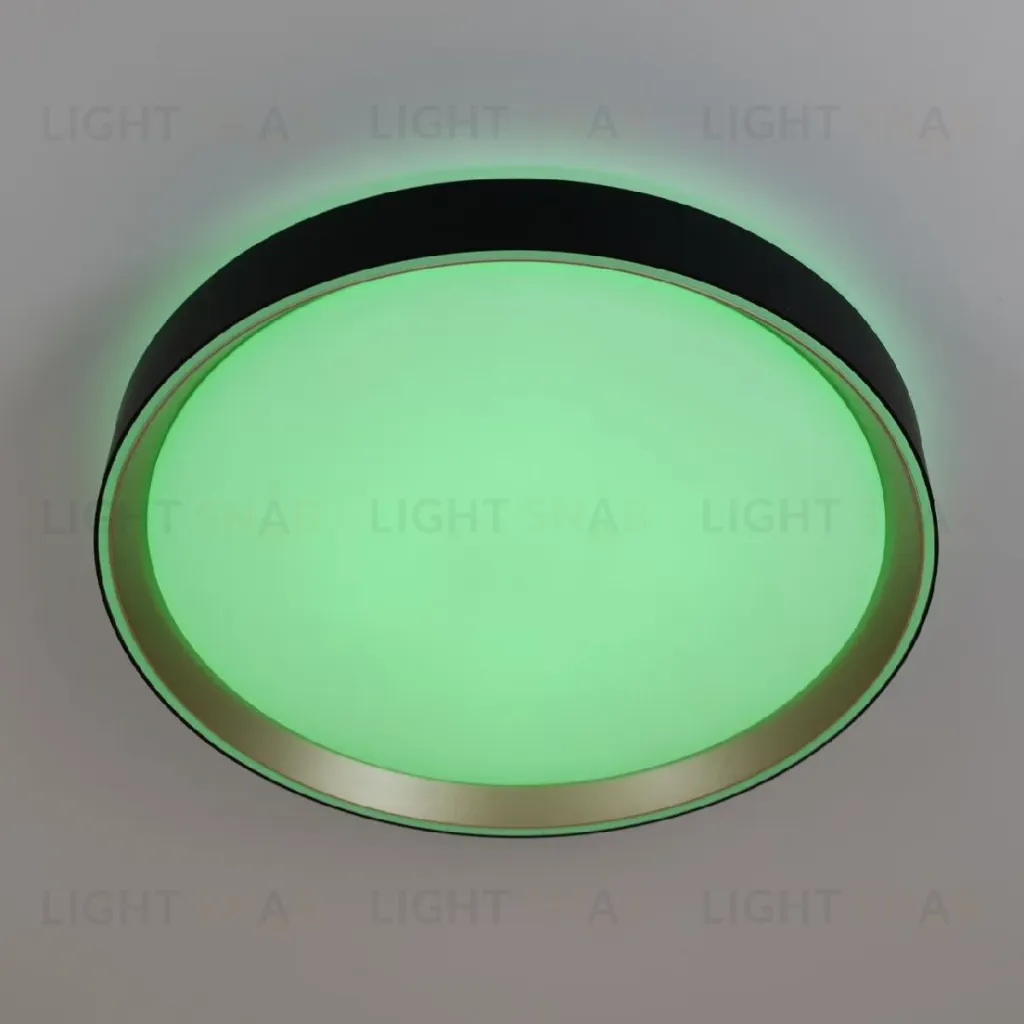 Потолочный светильник Citilux Boss CL751351G CL751351G