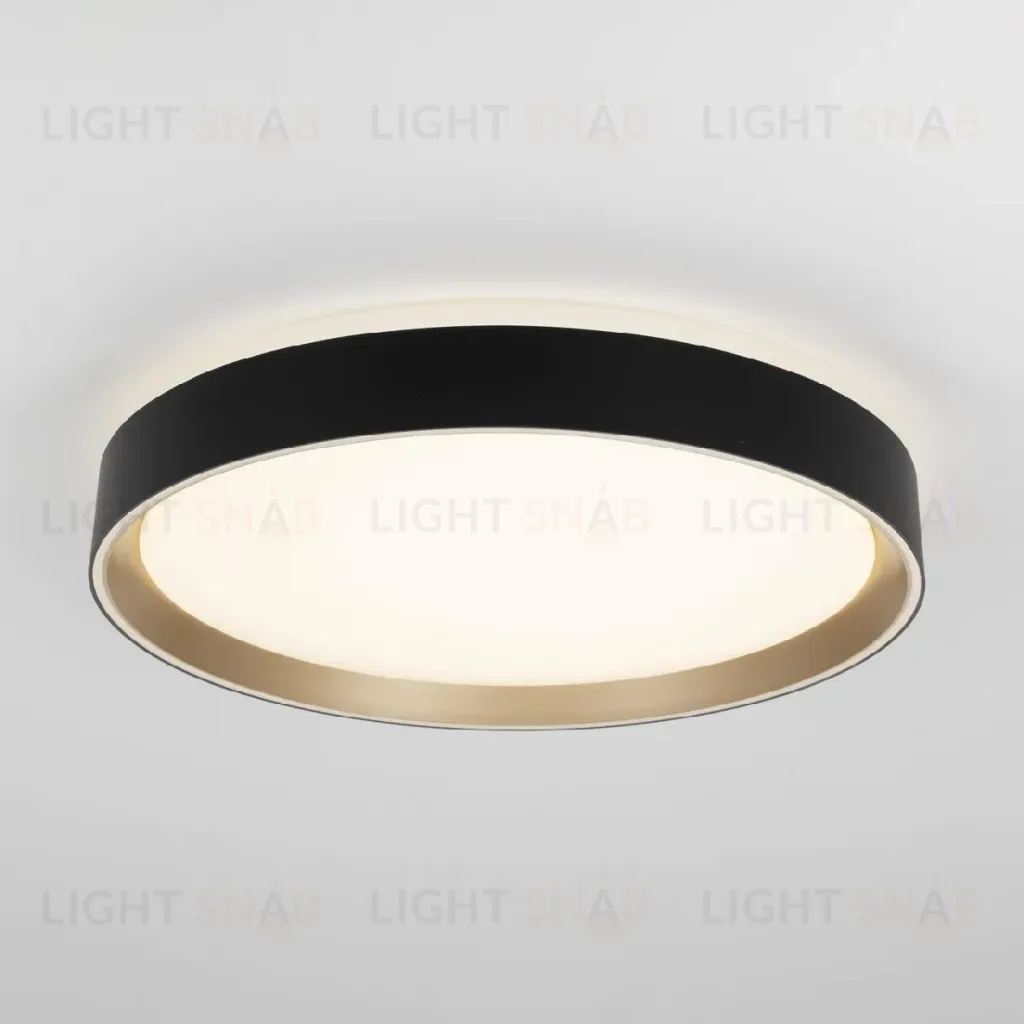 Потолочный светильник Citilux Boss CL751351G CL751351G