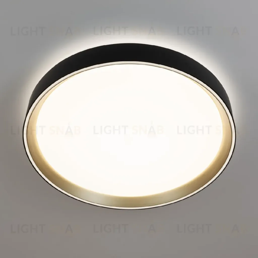 Потолочный светильник Citilux Boss CL751351G CL751351G