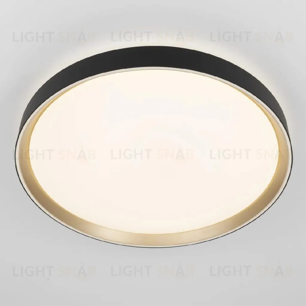 Потолочный светильник Citilux Boss CL751451G CL751451G