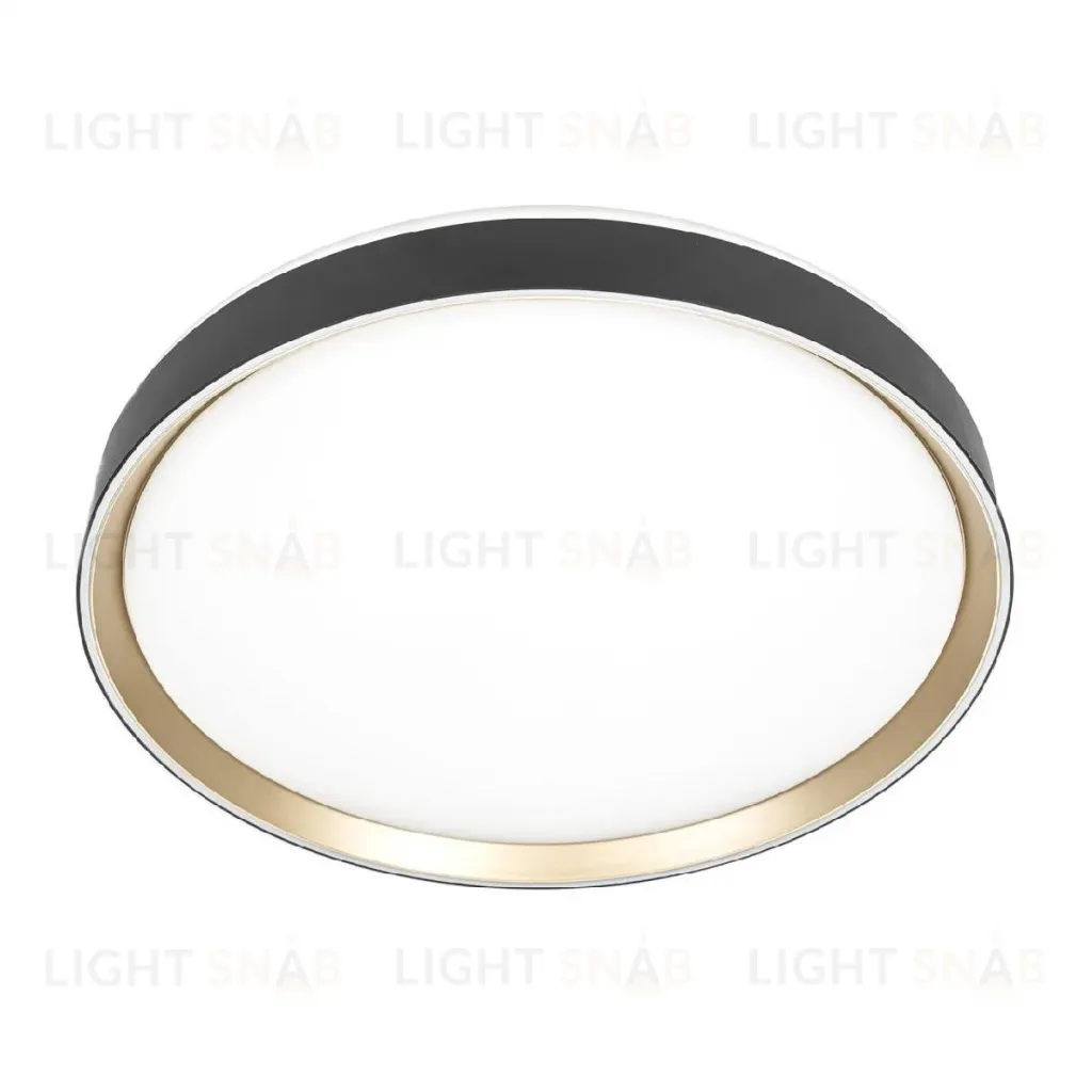 Потолочный светильник Citilux Boss CL751451G CL751451G