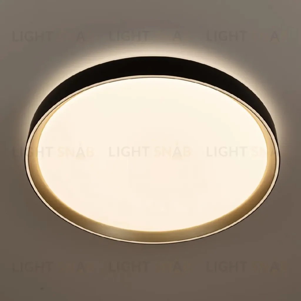 Потолочный светильник Citilux Boss CL751451G CL751451G