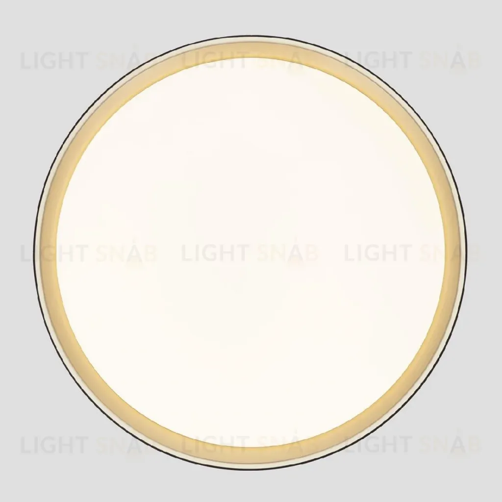 Потолочный светильник Citilux Boss CL751451G CL751451G