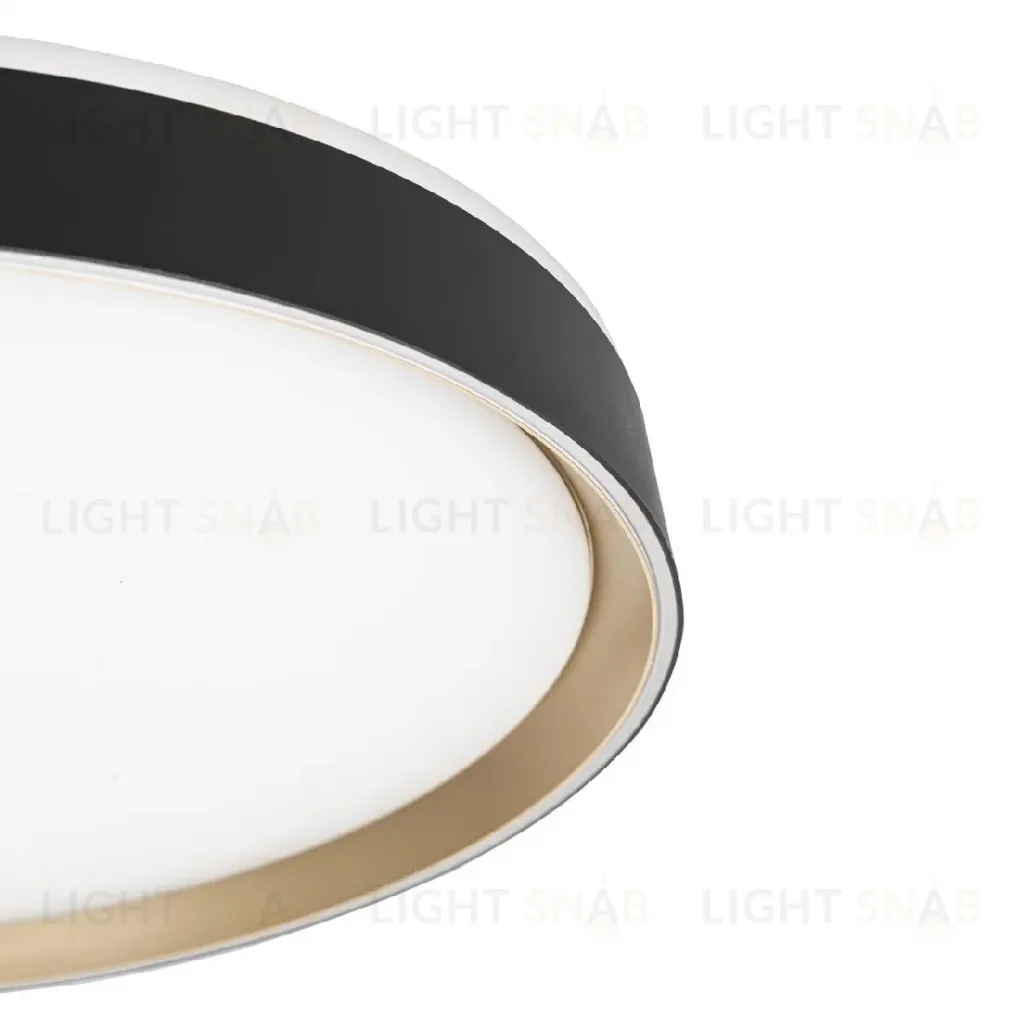 Потолочный светильник Citilux Boss CL751451G CL751451G