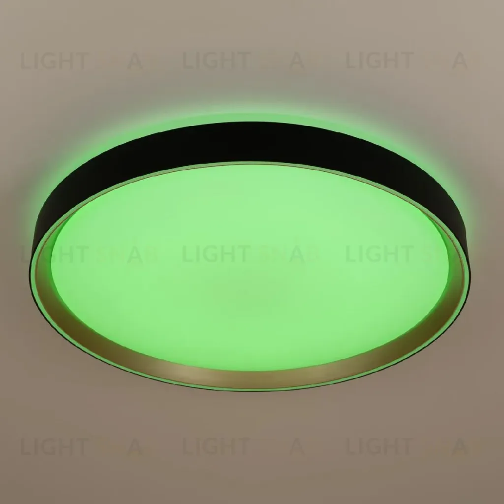 Потолочный светильник Citilux Boss CL751451G CL751451G