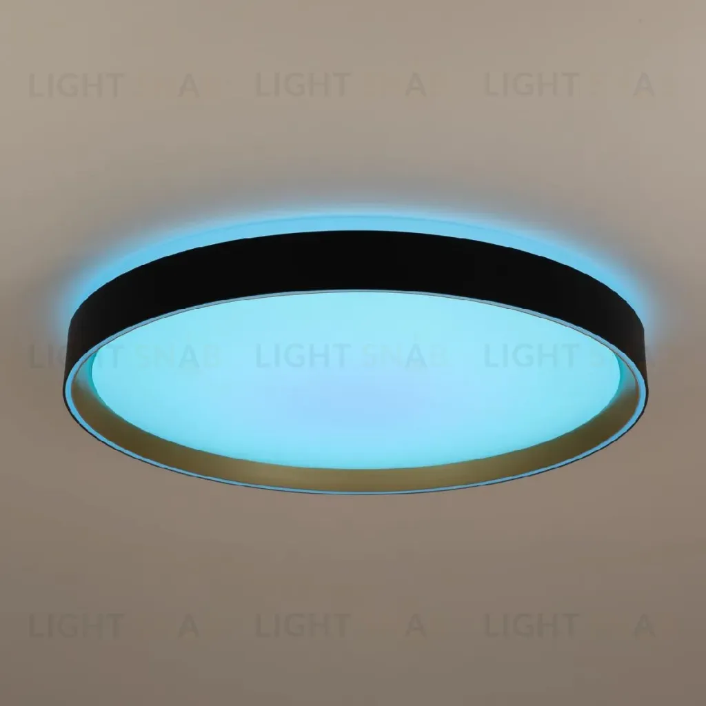 Потолочный светильник Citilux Boss CL751451G CL751451G