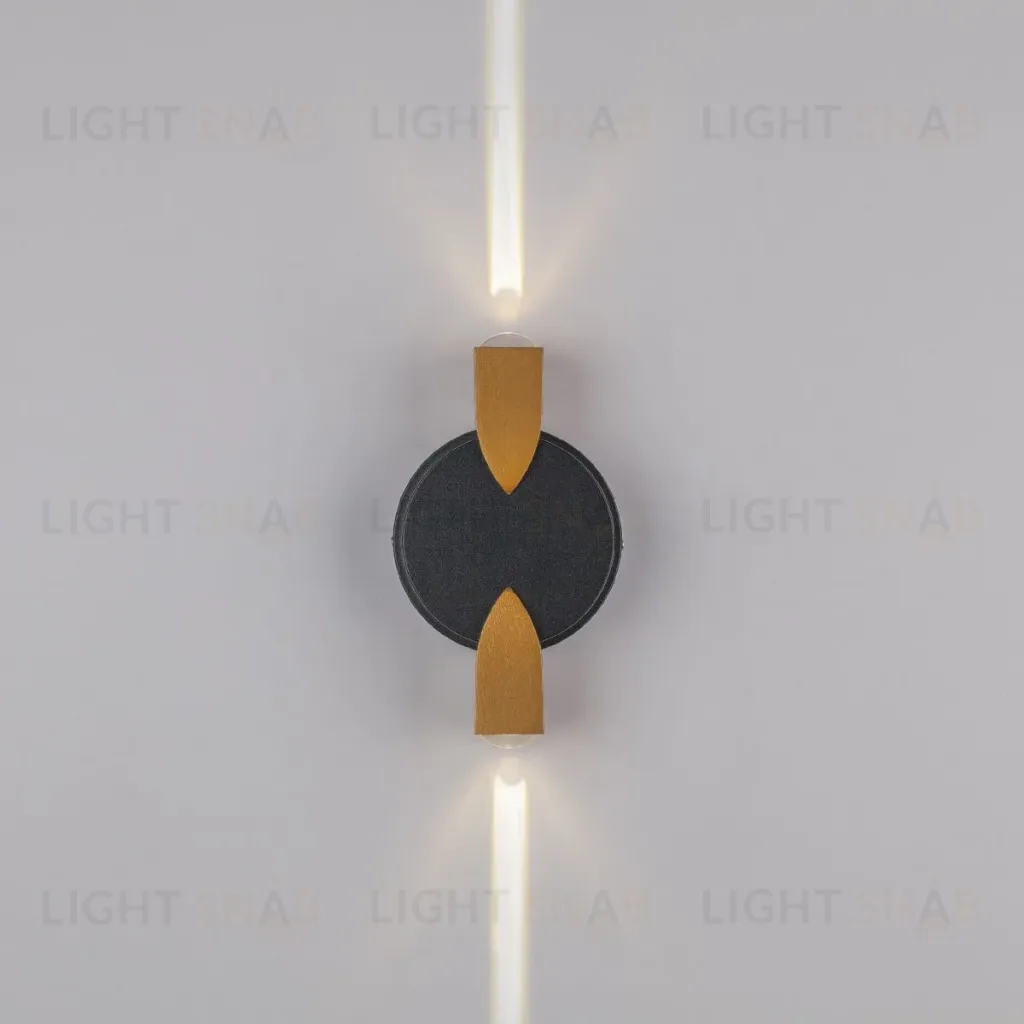 Уличный настенный светильник Lightstar Dito 380623 380623