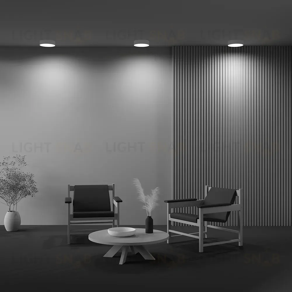 Потолочный светильник Maytoni Technical Ceiling Zon C032CL-24W4K-RD-W C032CL-24W4K-RD-W