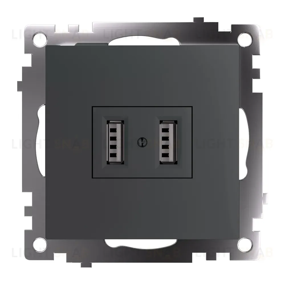 Розетка USB Stekker Катрин GLS10-7115-06 49422 49422