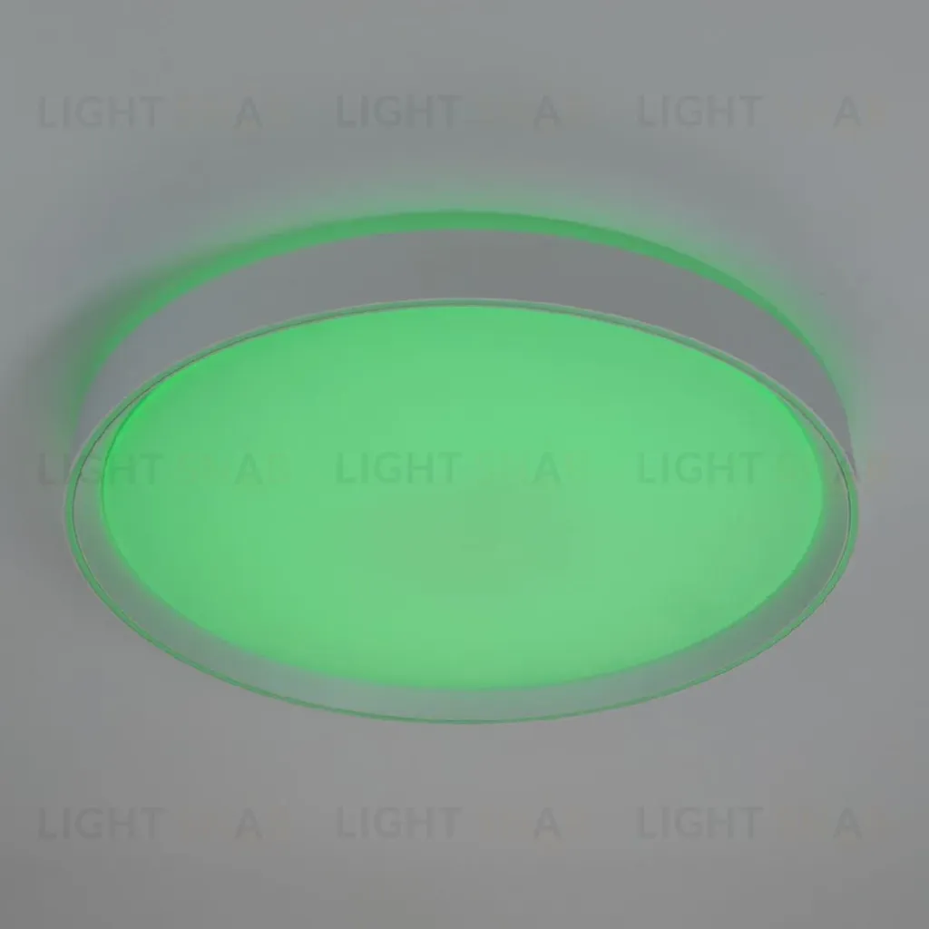Потолочный светильник Citilux Boss CL751450G CL751450G