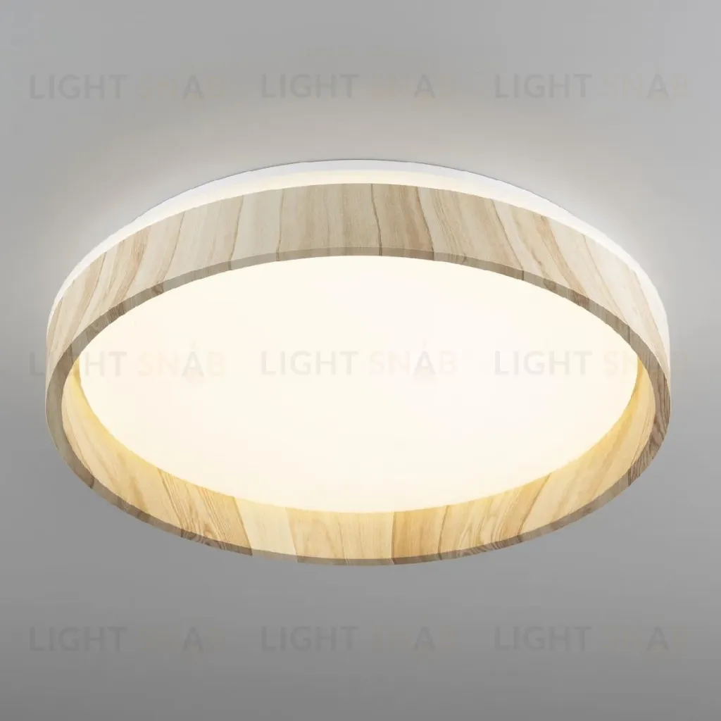 Потолочный светильник Citilux Enzo CL753352G CL753352G
