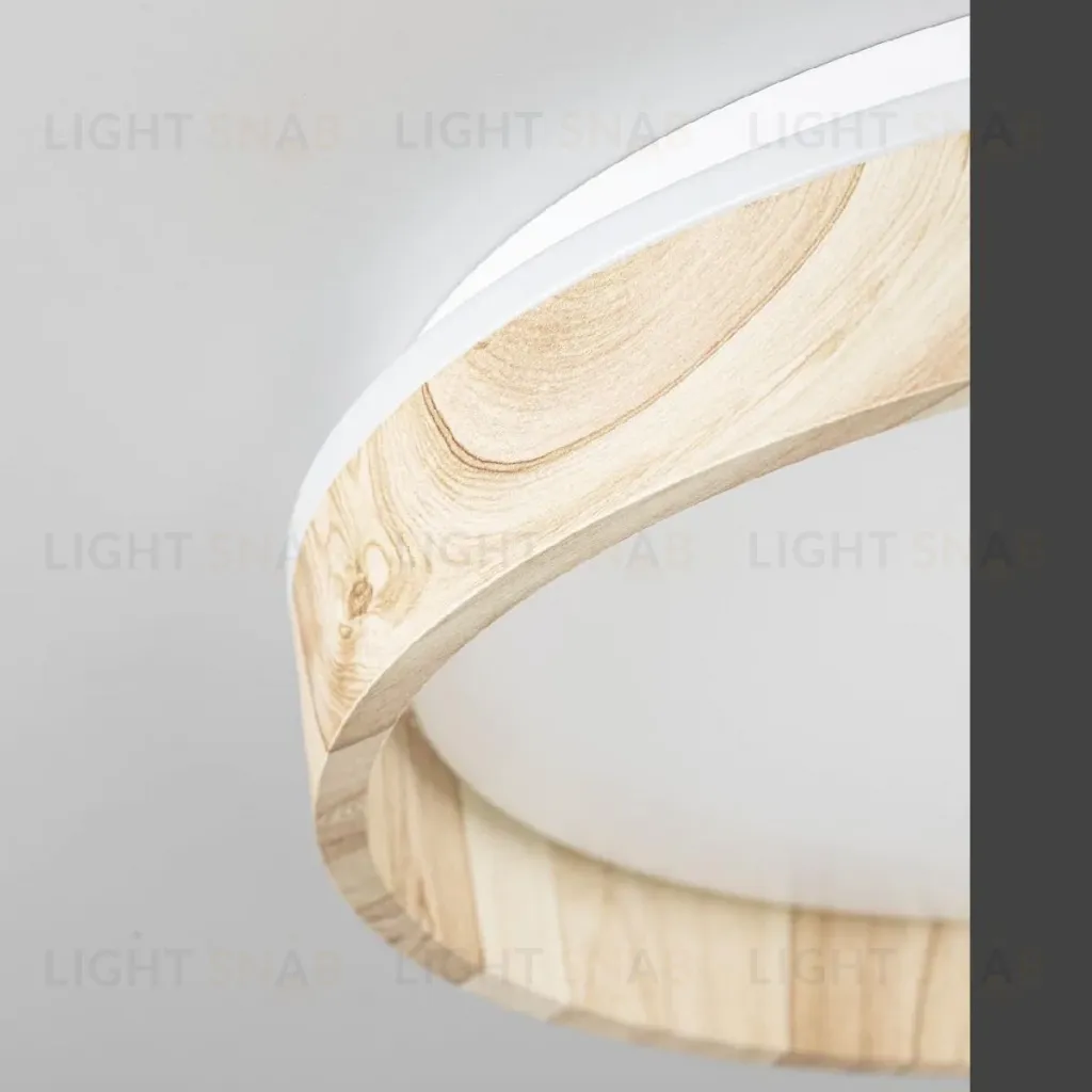 Потолочный светильник Citilux Enzo CL753352G CL753352G