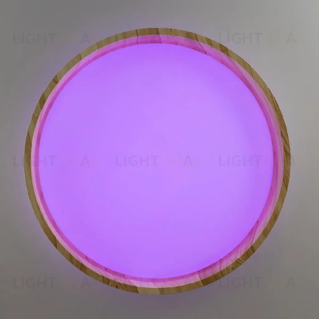 Потолочный светильник Citilux Enzo CL753352G CL753352G