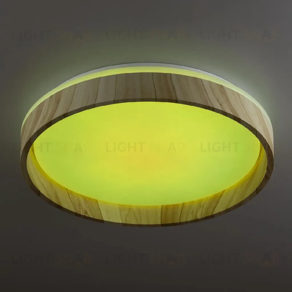 Потолочный светильник Citilux Enzo CL753352G CL753352G