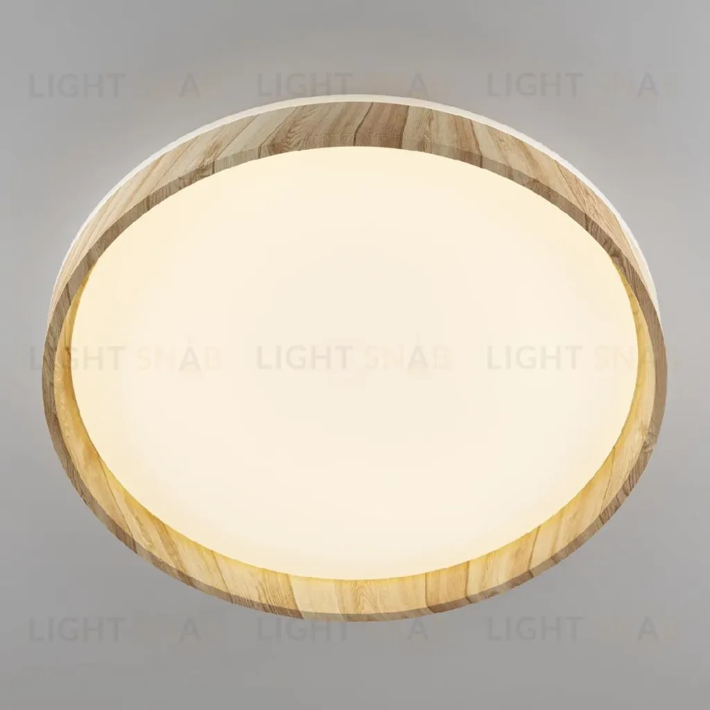 Потолочный светильник Citilux Enzo CL753452G CL753452G