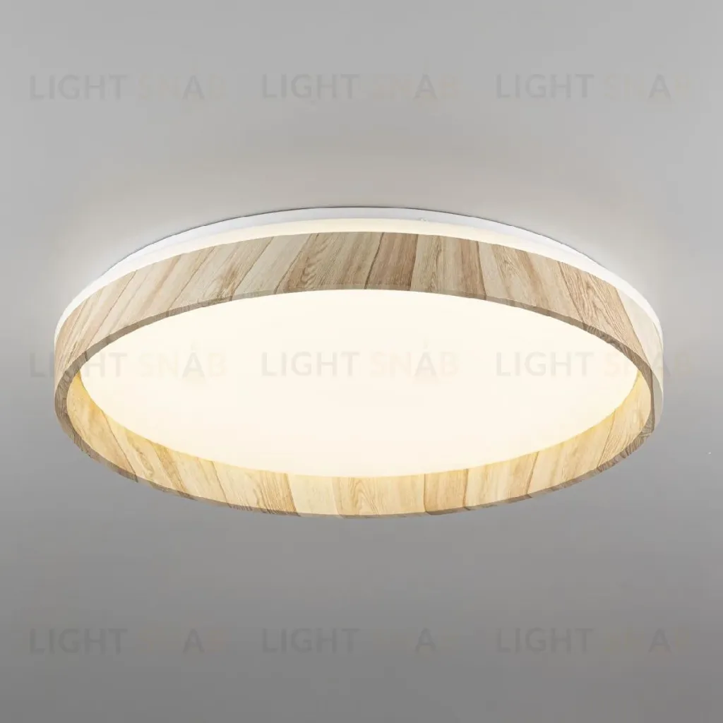 Потолочный светильник Citilux Enzo CL753452G CL753452G