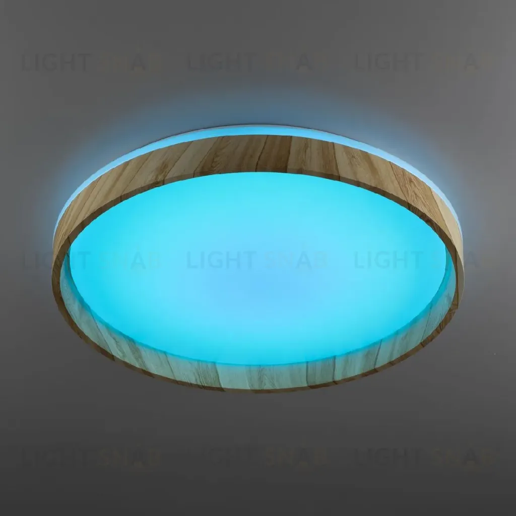 Потолочный светильник Citilux Enzo CL753452G CL753452G